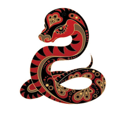 Red and Black Snake